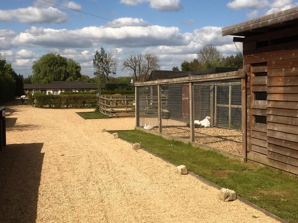 Willow Court Farm Studio East & Petting Farm, 8 Mins To Legoland & Windsor, 15 Mins To Lapland Uk Villa Exterior photo